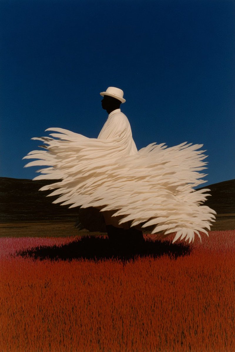 Gizem Akdag tweet media