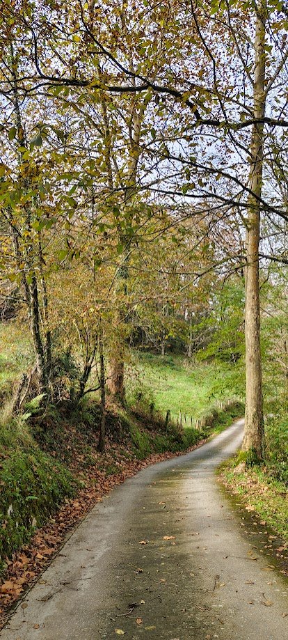 GoikoItzela's tweet photo. Gaur goizean 🚴💚 https://t.co/cbbXP6dMhL
