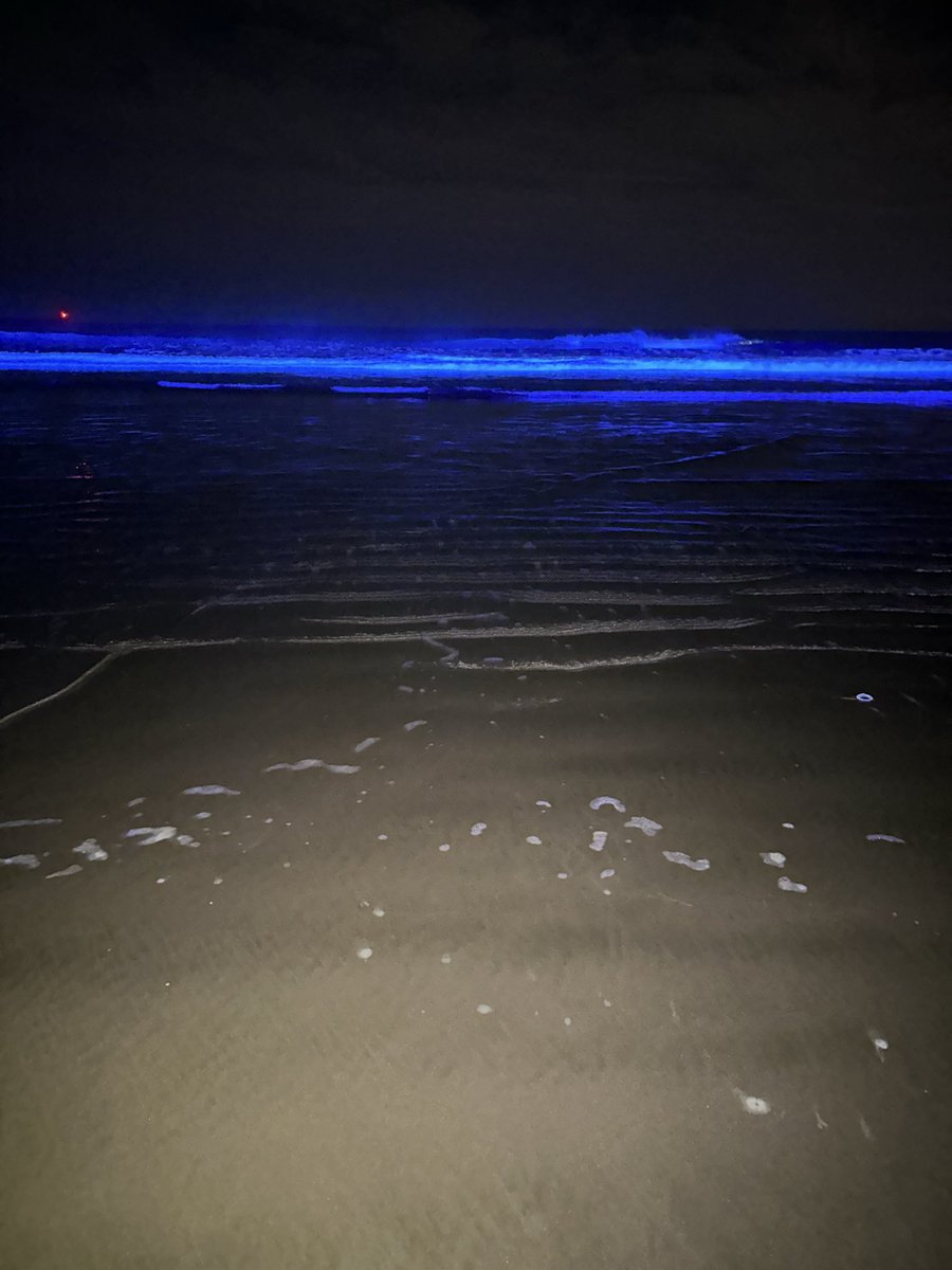 ちょこちっぷ tweet media