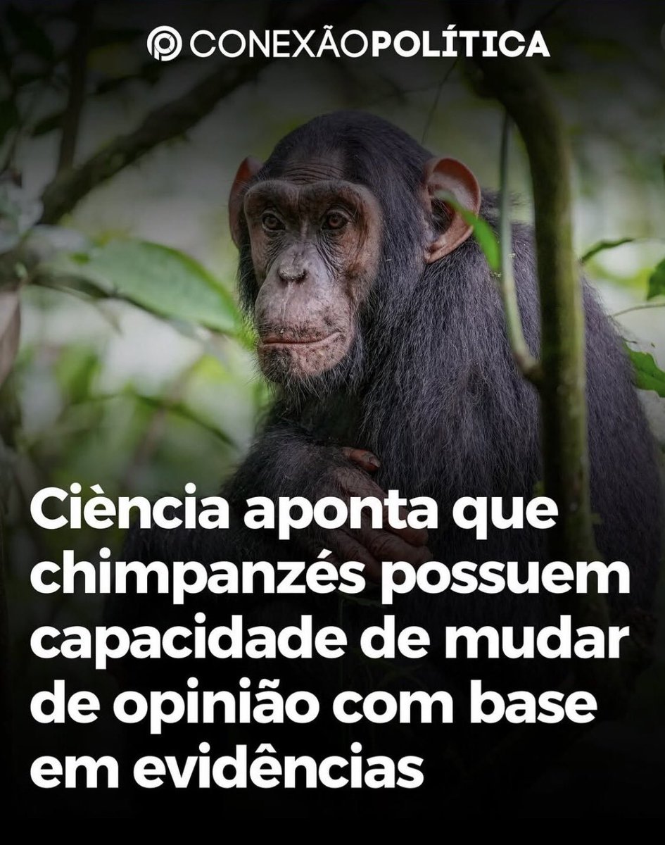 Joaquin Teixeira tweet media