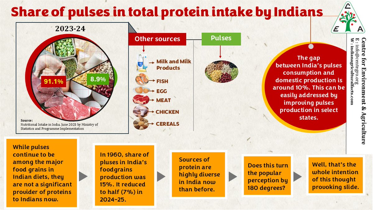 centegro's tweet image. Pulses aren’t the main source of protein in the Indian diet. Read more👇 
#pulses #protein #India 
@ICMRNIN @DeptHealthRes @JPNadda @FAO @UN @moneycontrolcom @thewire_in @down2earthindia @ndtv @EconomicTimes @htTweets @the_hindu @IndianExpress @NavbharatTimes @AmarUjalaNews @WHO