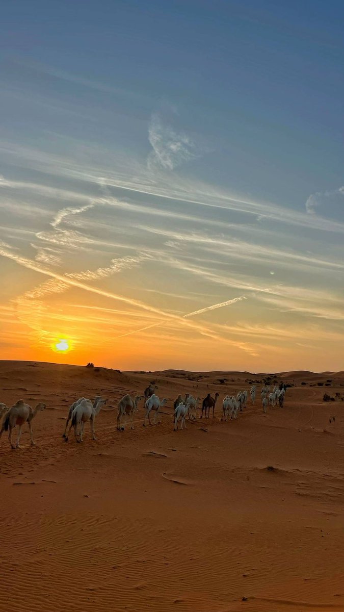 مـيلاف tweet media