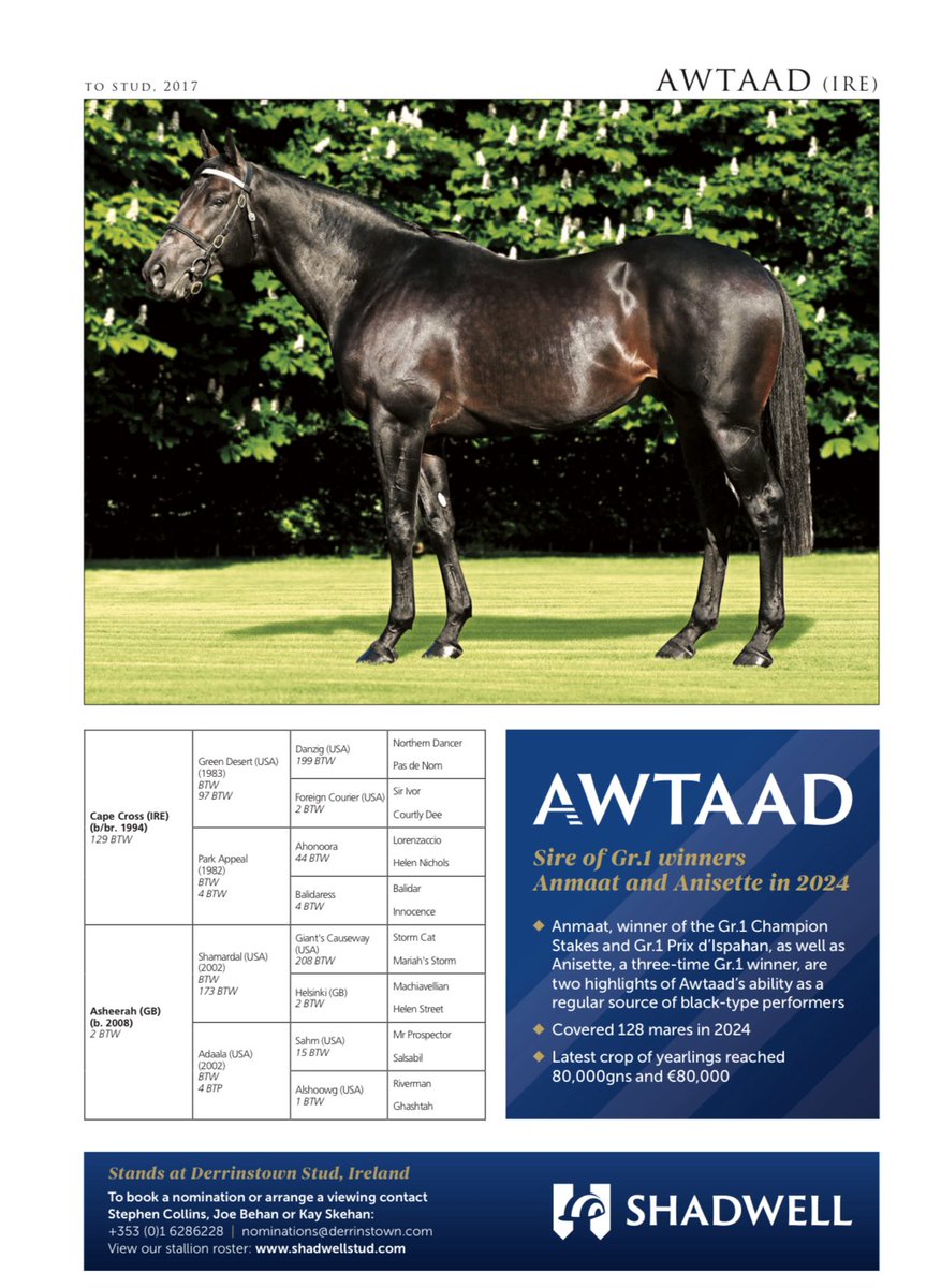 An updated pedigree for Ethical Diamond who kept on well to land the Longines <a href="/BreedersCup/">Breeders' Cup</a> Turf <a href="/DelMarRacing/">Del Mar Racetrack</a> .
The son of Awtaad <a href="/Shadwell_EU/">SHADWELL</a> is out of a winning daughter of Areion who’s closely related to Group 2 German Guineas winner Precious Boy and Group-placed Prema.