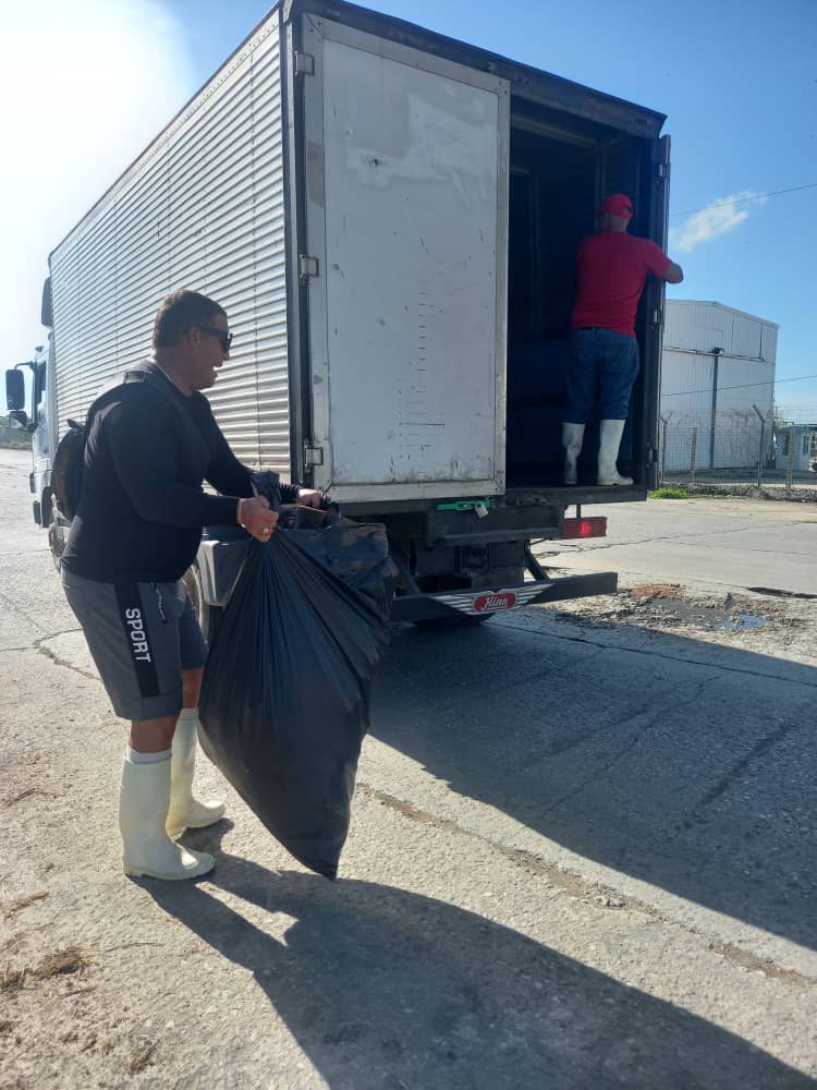 Se suma el colectivo de <a href="/PapasCoSA/">Papas&Co S.A</a> a las tareas de saneamiento en el municipio Regla
#limpiezaysaneamiento 
#trabajoenequipo 
#MiCiudadTuCasa 
<a href="/coralsacuba/">Corporación Alimentaria S.A</a> 
<a href="/minalcuba/">Ministerio de la Industria Alimentaria de Cuba</a>