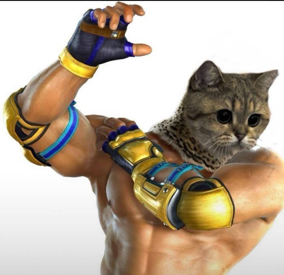 the fox den (@shutpuo) on Twitter photo 