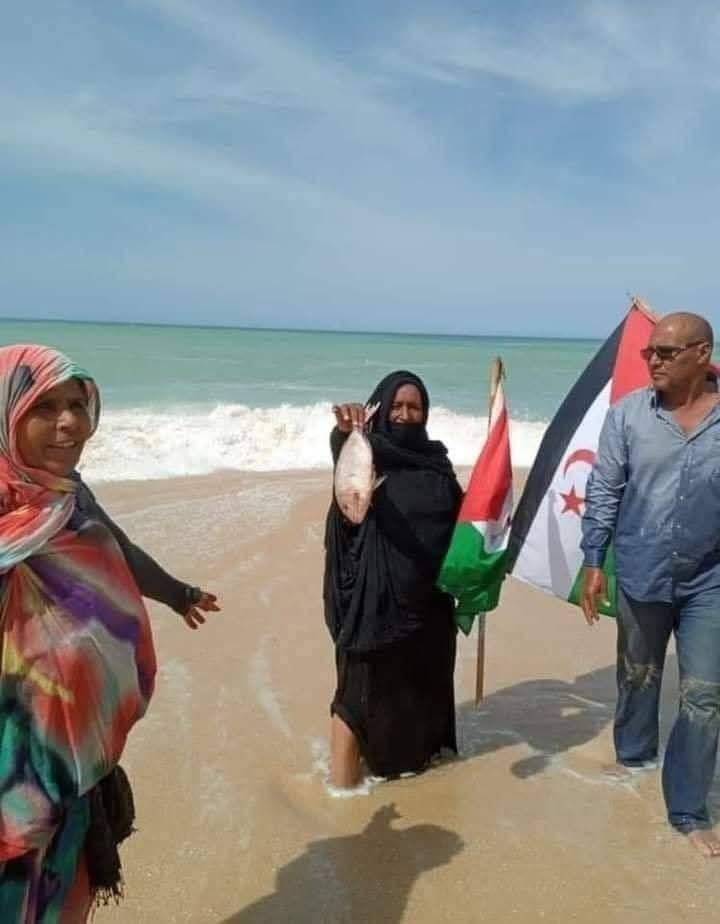 أغلى سمكة ف التاريخ
😂😂😂😂😂