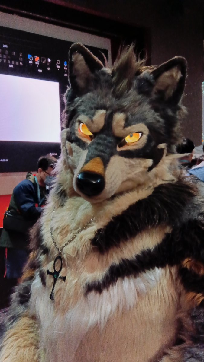 🐲Krescent <a href="/zfnkc/">Krescent/KC ➡ Infurnity2025</a> &amp; 🐺安卡 <a href="/MinelodyWolf/">Ankh 安卡 ➠ KC Cafe, Infurnity 2025</a> 
真好看💗  #Infurnity2025
