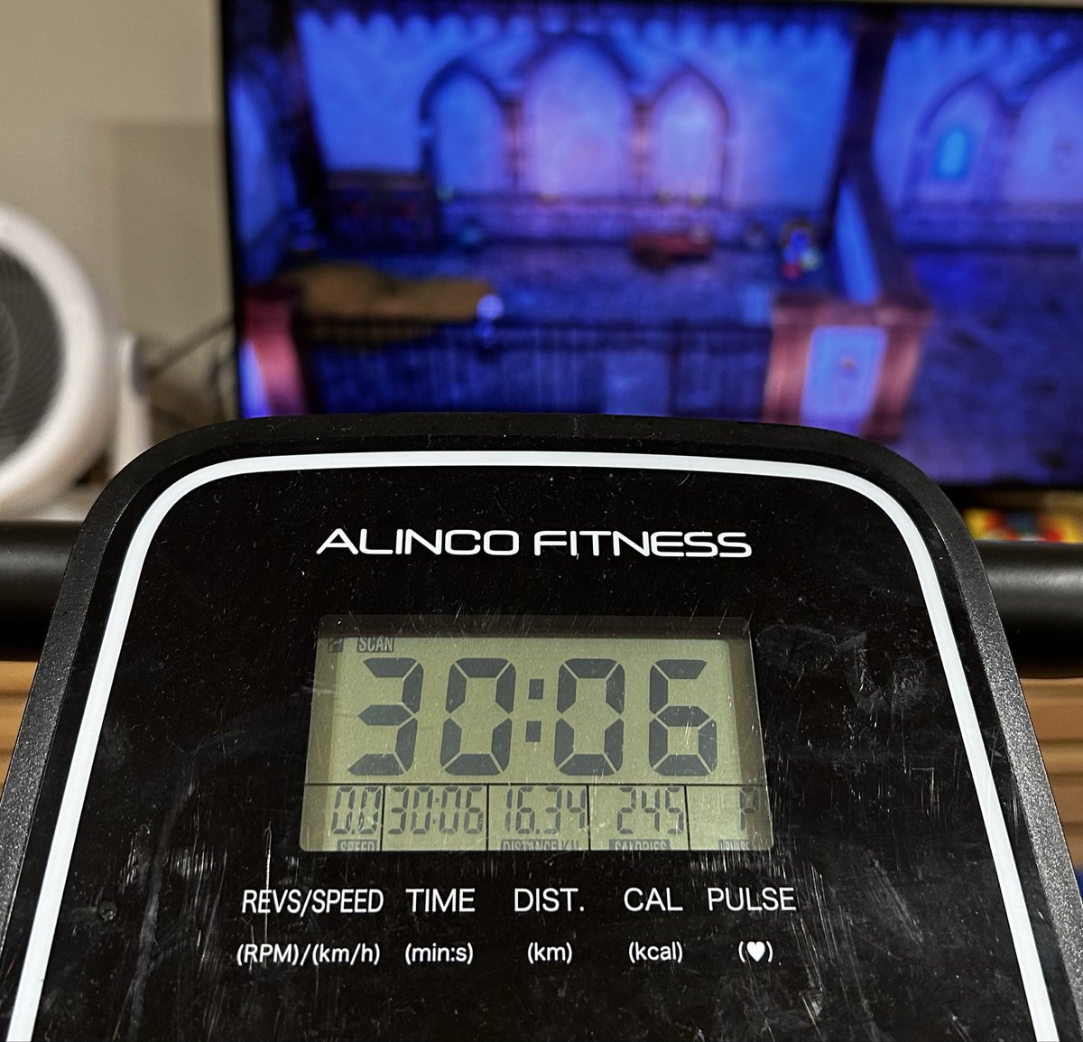 エアロバイク30分

89日目