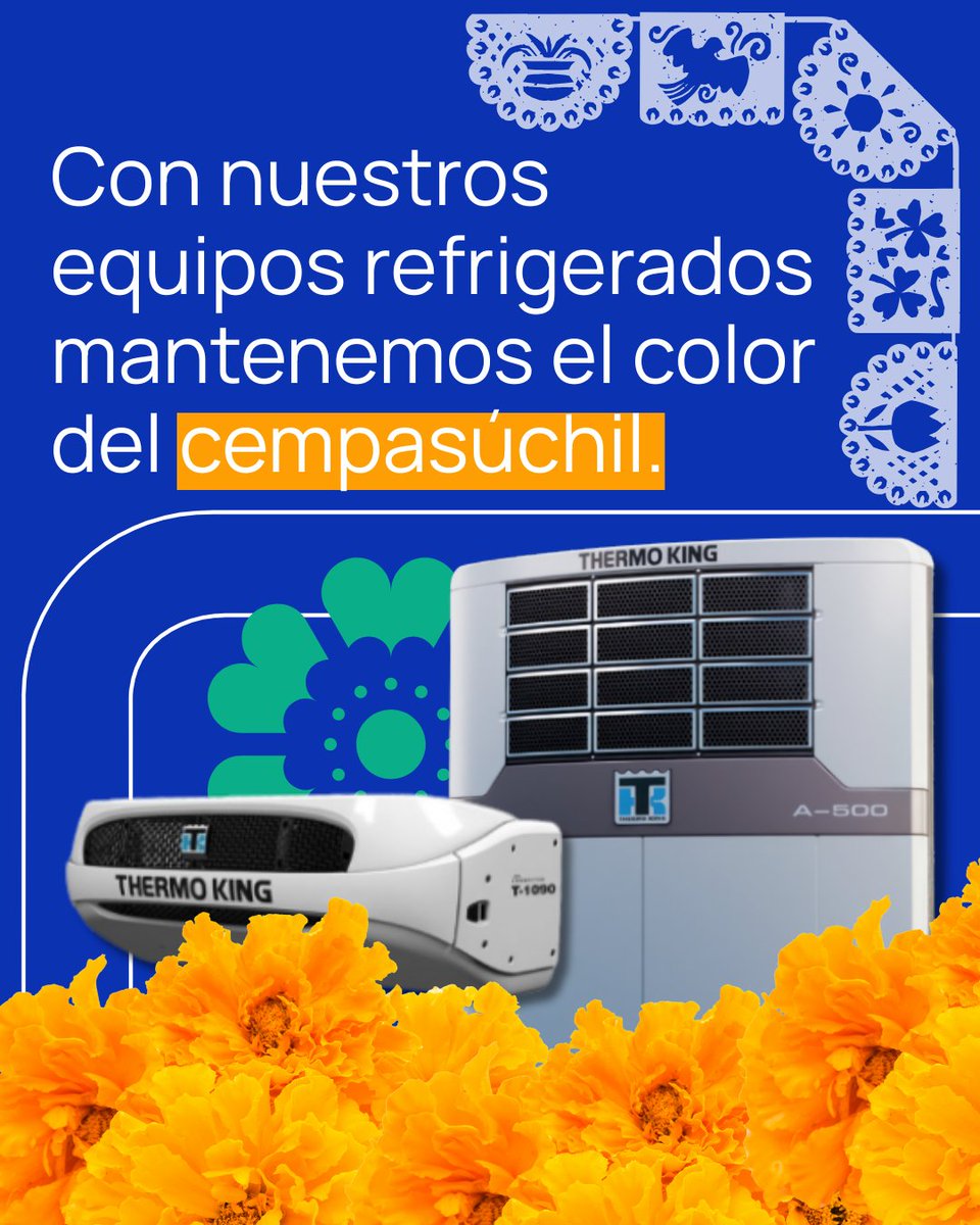 En cada altar brilla una historia, y en cada flor de cempasúchil late un pedacito del alma mexicana. 🍂🧡
Gracias a la tecnología de ThermoKing, miles de flores viajan a lo largo del país conservando su vida, su aroma y su color. 🌼🚛

#ThermoKing #DíaDeMuertos #Cempasúchil