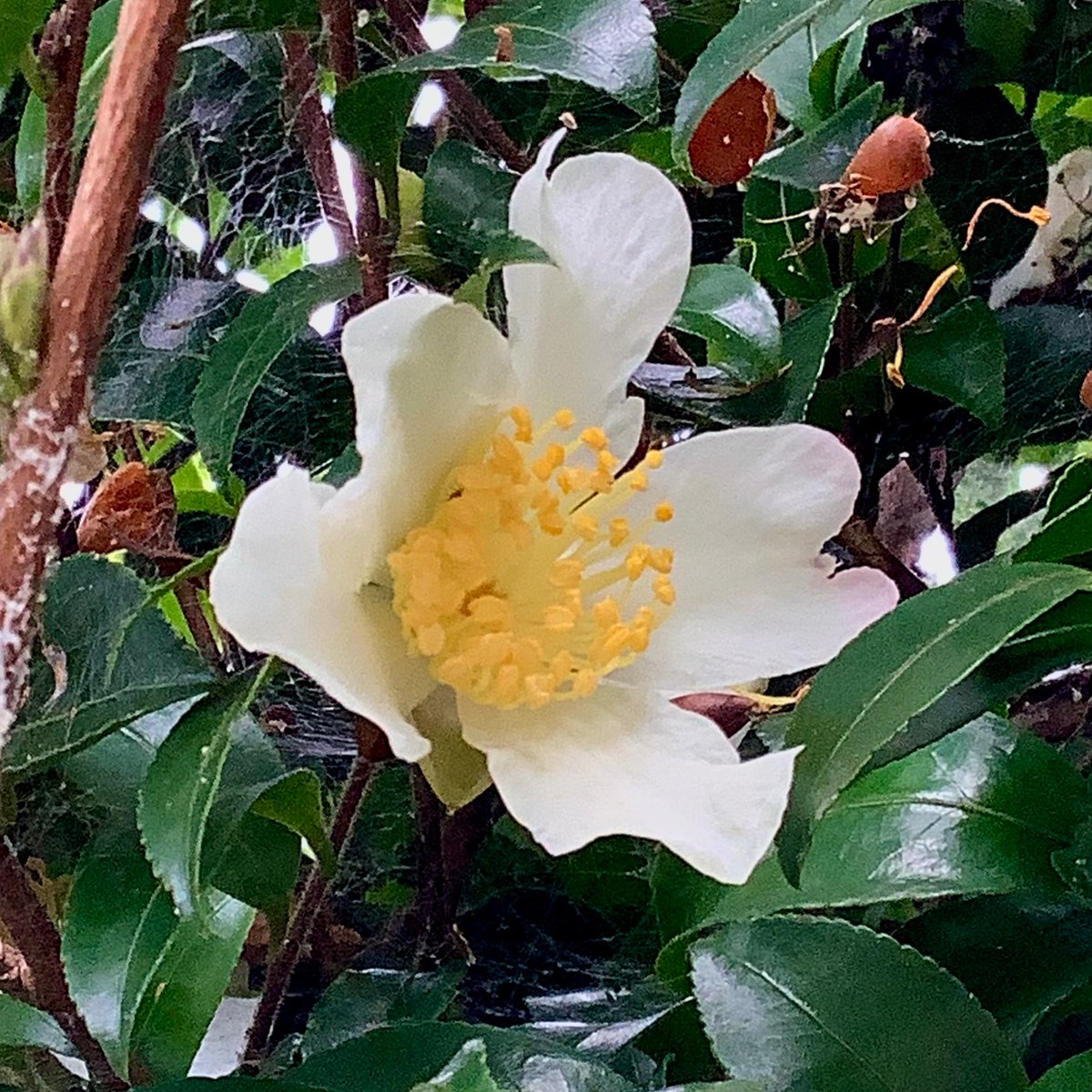 MK (@TY72749) / Posts / X