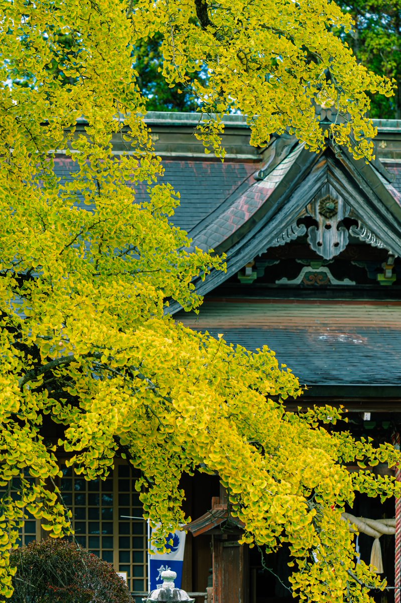 じゅんや (@Ride_on_mk) / Posts / X