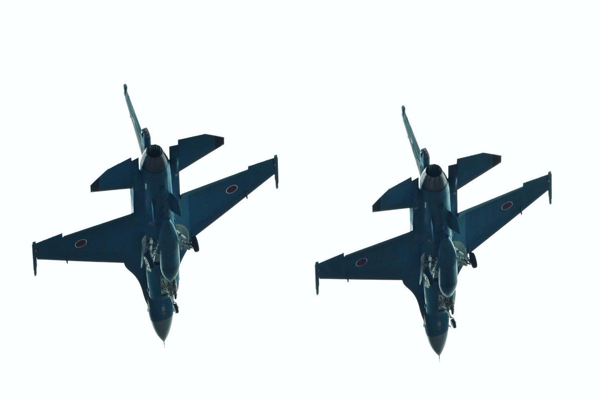 はるるん(はるぽむ)🐈🥺🍀 on X