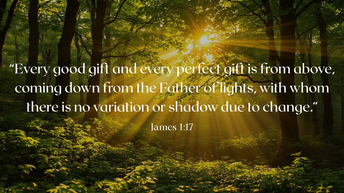 GeneWhitehead's tweet image. Let&apos;s end our week in gratitude. &quot;Every good and perfect gift is from above.&quot; (James 1:17). What is one good gift God has blessed you with this week? Share it in the comments below! 👇

#SundayScripture #Gratitude #VerseOfTheDay #GiveThanks #DayOfRest