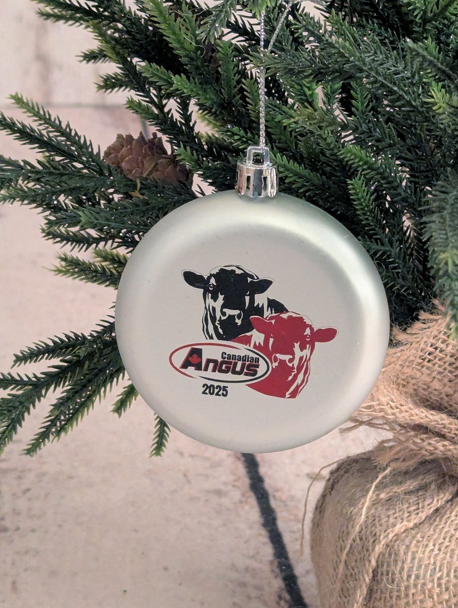 Christmas shopping? The 2025 Canadian Angus Christmas ornament makes a great gift! Only $9.50 plus tax – order yours today, supply is limited. Order early to avoid shipping delays.  cdnangus.ca/buyers-sellers… #cdnangus
