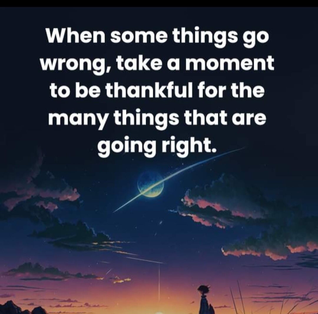 Monica 🌊🌻💙🏳️‍🌈 (@softtail65) on Twitter photo 