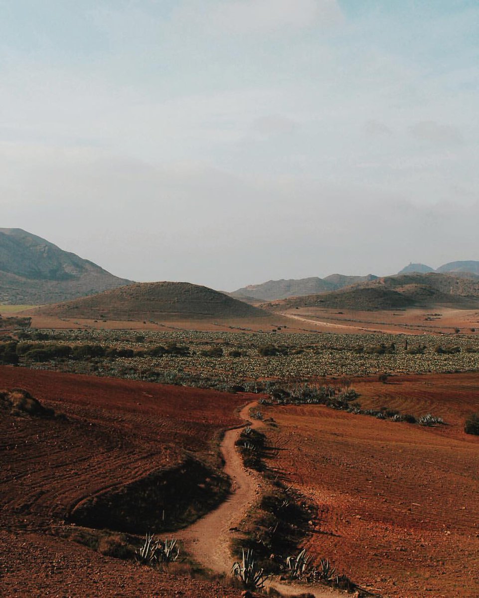 mandolinaes's tweet image. Spain Countryside