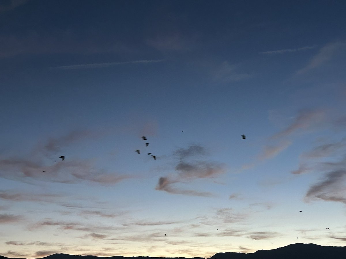 “gökyüzü de olmak isteyebilirdim değil mi? kim ne diyebilir ki?”