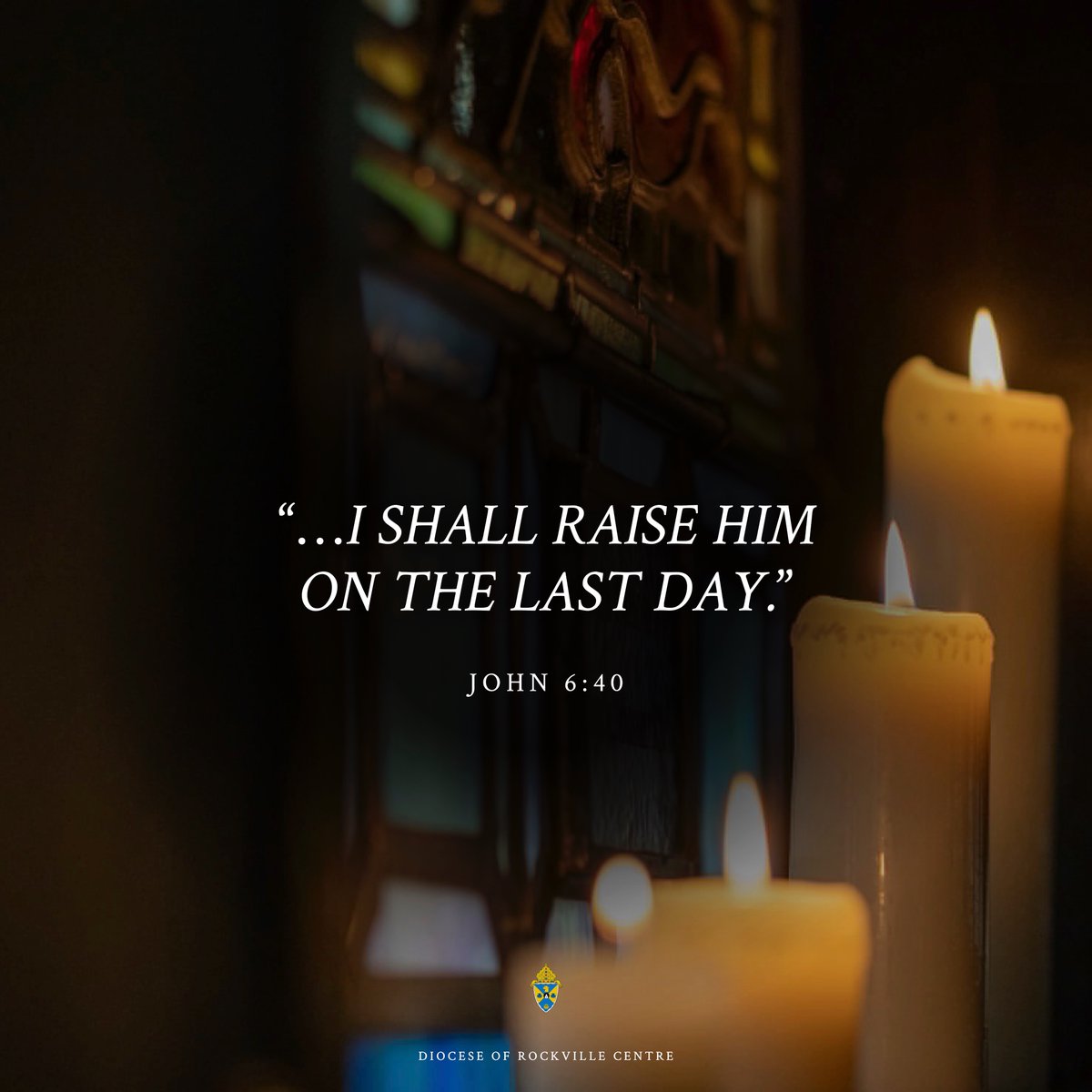 Diocese of Rockville Centre tweet media