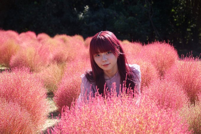 Overdoseのツイート