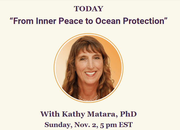 AislingASwift's tweet image. Dr. Kathy Matara will discuss how learning #TranscendentalMeditation inspired her global mission to #ProtectThePlanet and educate people on how to #PreserveTheOceans and #MarineLife.

► zoom.us/j/177174913
► (929) 205-6099, ID 177 174 913 #
INFO: facebook.com/TMNaplesFortMy…
