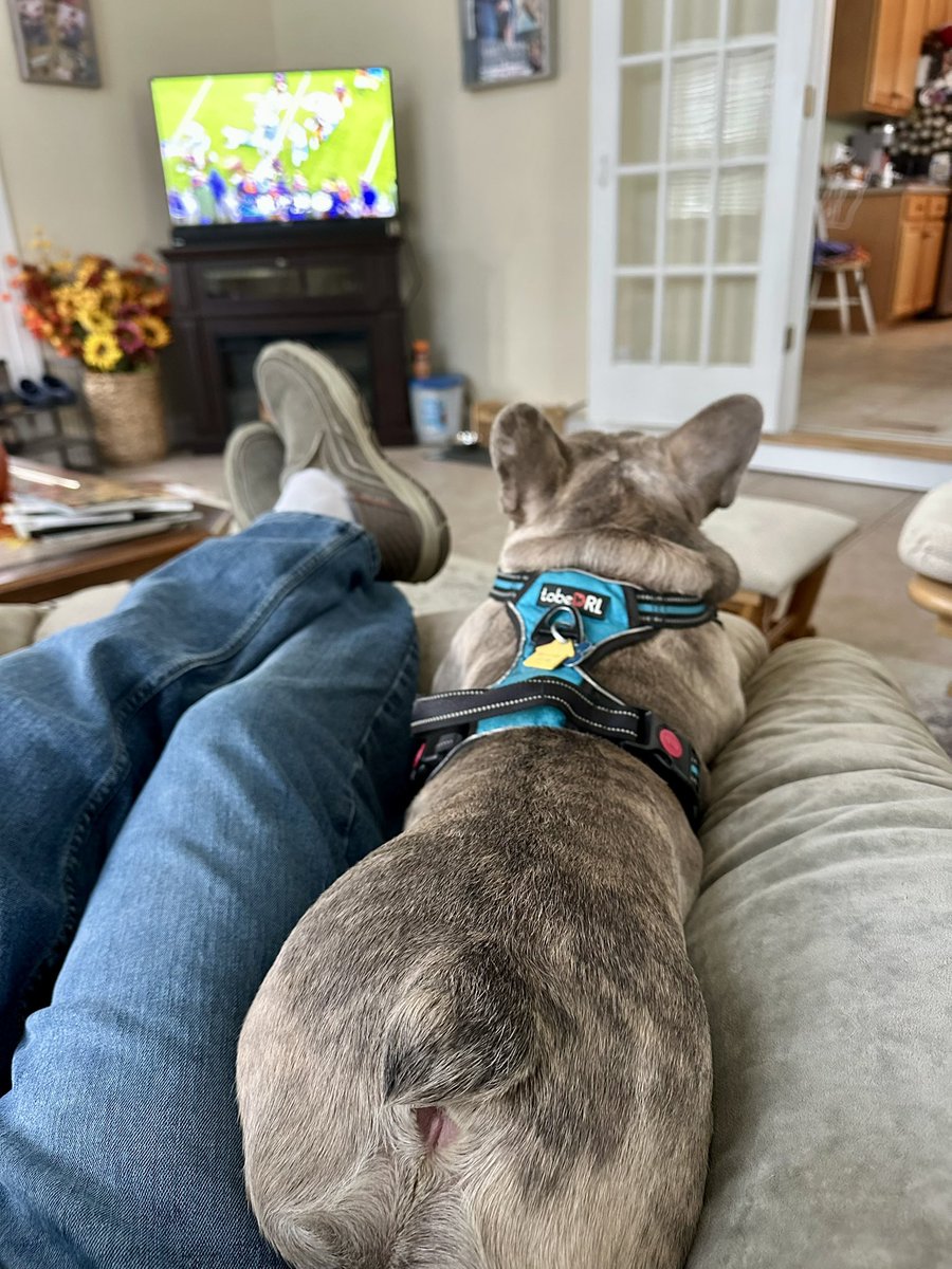 mikewheless's tweet image. Me &amp;amp; the #ArchieBoy watching the @panthers win at the buzzer!