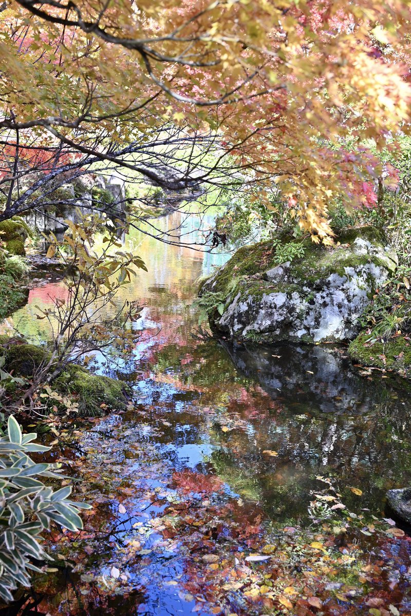 風景写真 最高の富士山を探しに道志みちツーリング【ZX-14R / モトブログ