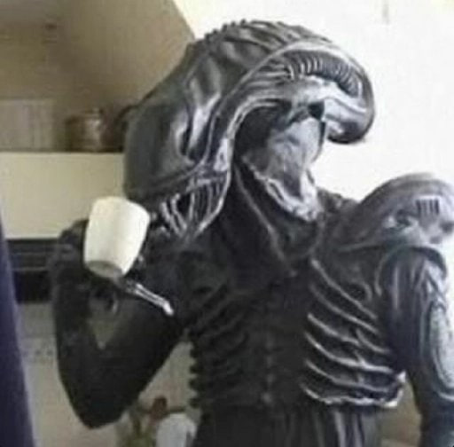 Before the year ends, I want to make more Megaevolution. Any recommendations? I want to step outside my comfort zone