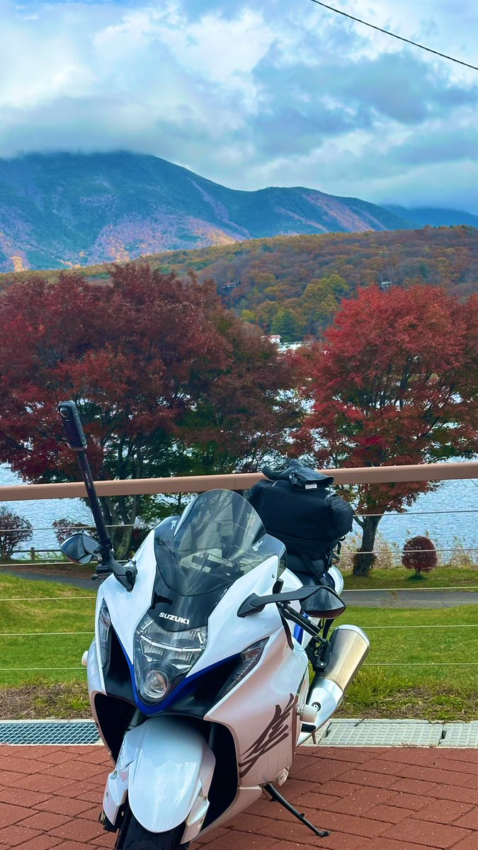 212 とらちゃん とらちゃん on X