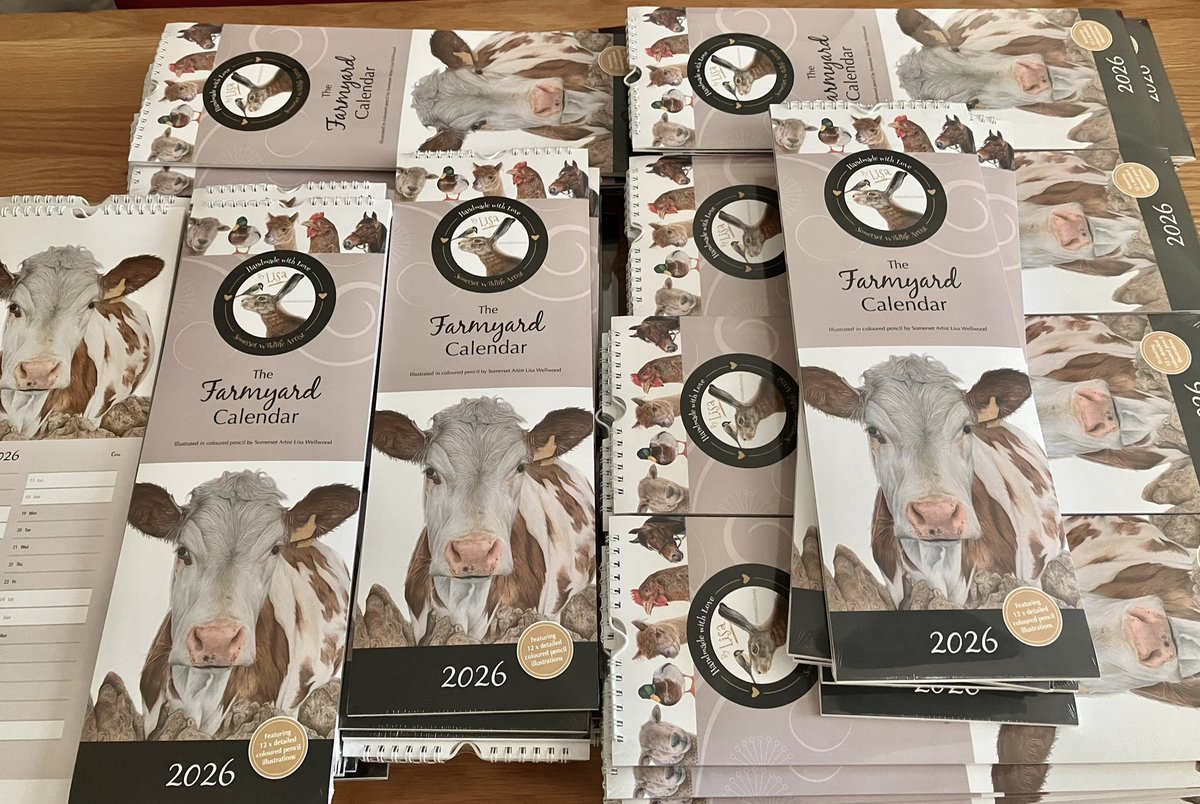 Lisa Wellwood Artist tweet media