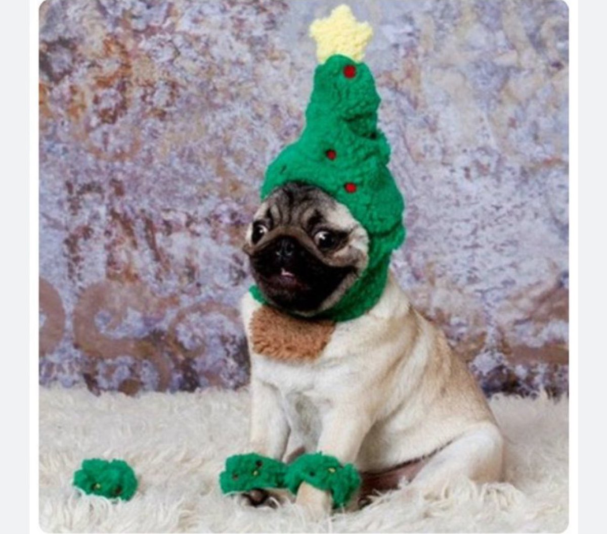 Yo un día después del día de muertos…