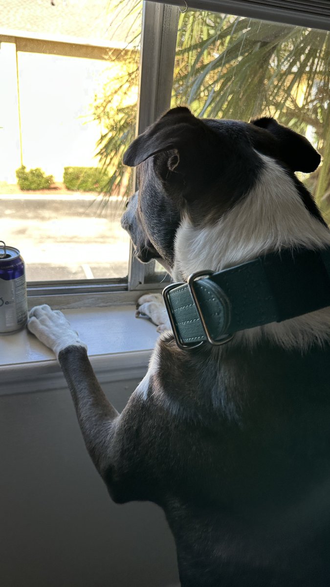 he approves of the condo