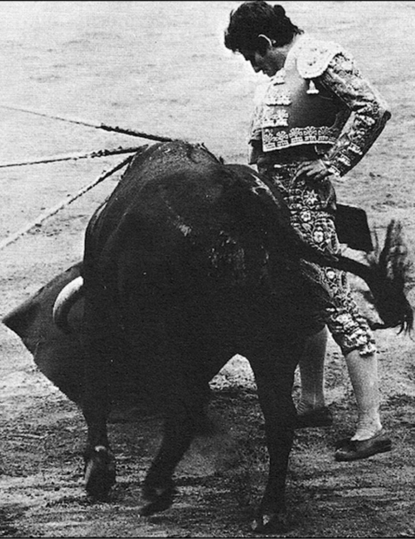 Lo último que escribió José María Pemán antes de morir, después de ver torear a Rafael en Jerez, fue:
“Dios cuide poner  
entre el torero y el toro  
blandura de almohadones,  
y después,  
sombreros y flores.”  

Que así sea. Descanse en paz, Rafael de Paula.