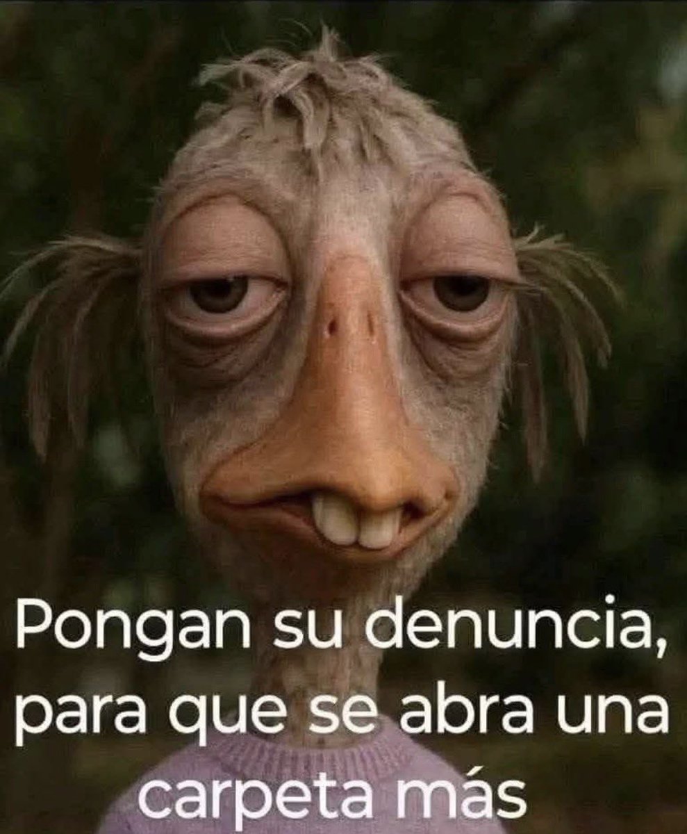 Así el puto país…