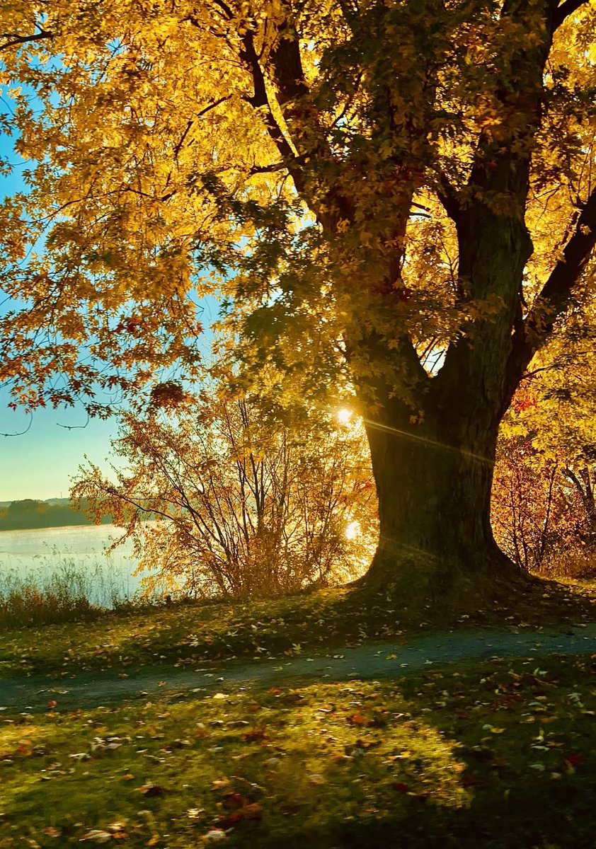 On a different note - welcome November