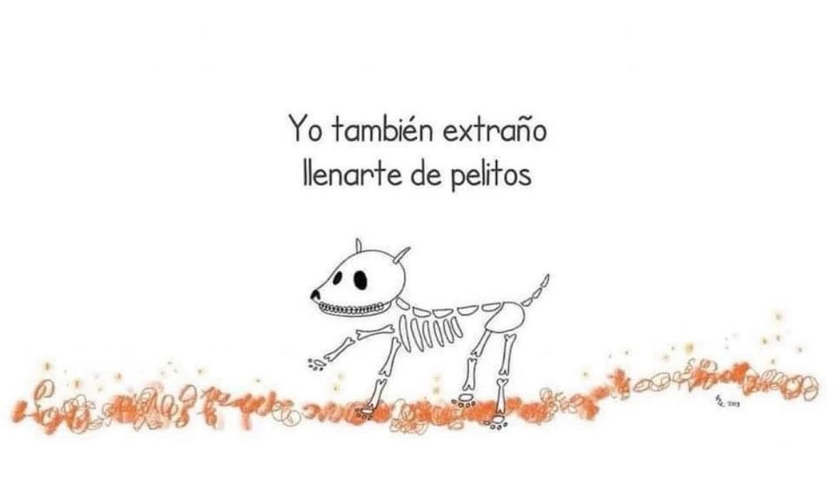 Hoy y todos los días del año 🕯️ #DiaDeMuertos