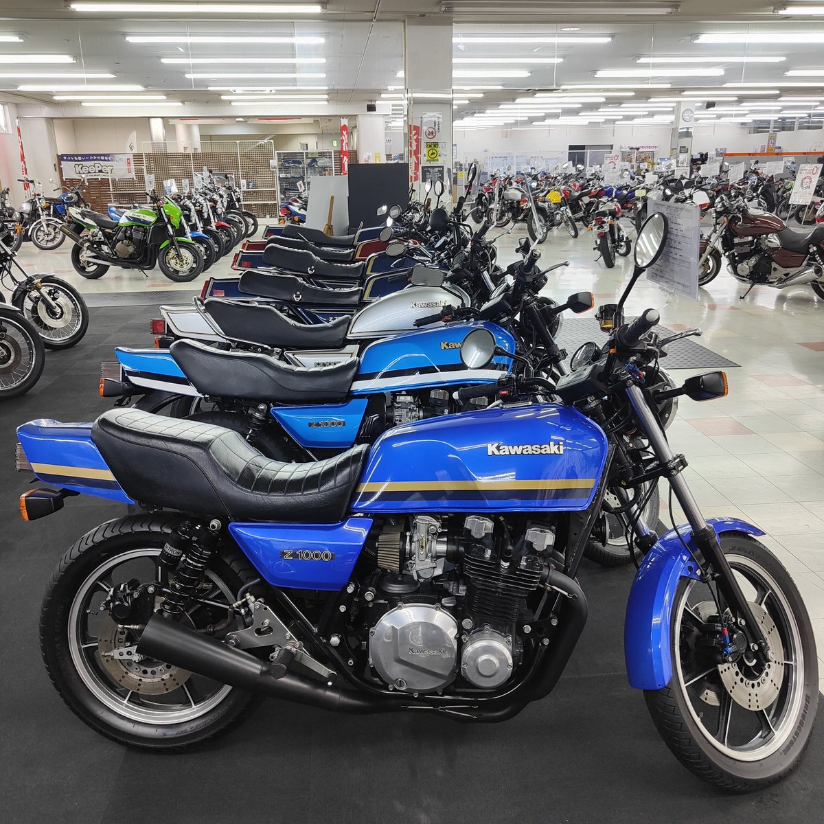 ペコリーノ林‡(プロトタイプ) on X