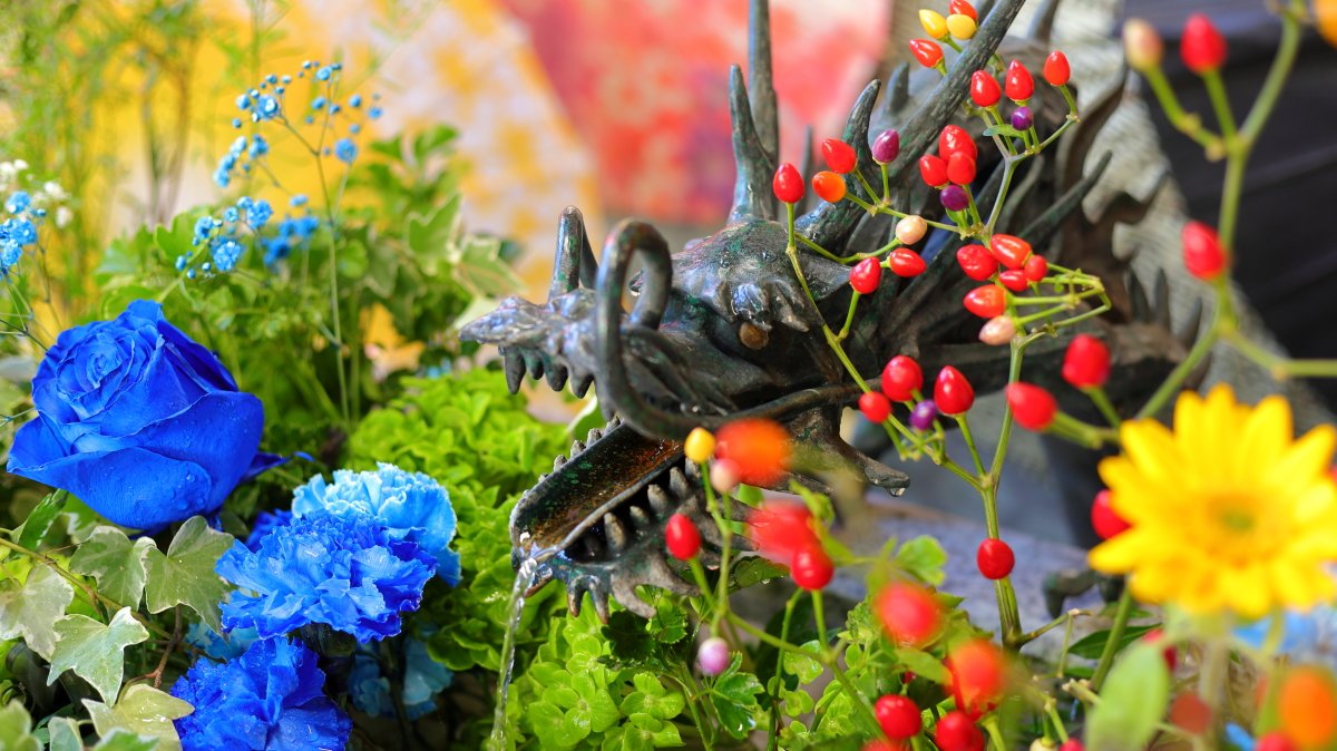 NEMO犬丸 (@inumaru728) / Posts / X