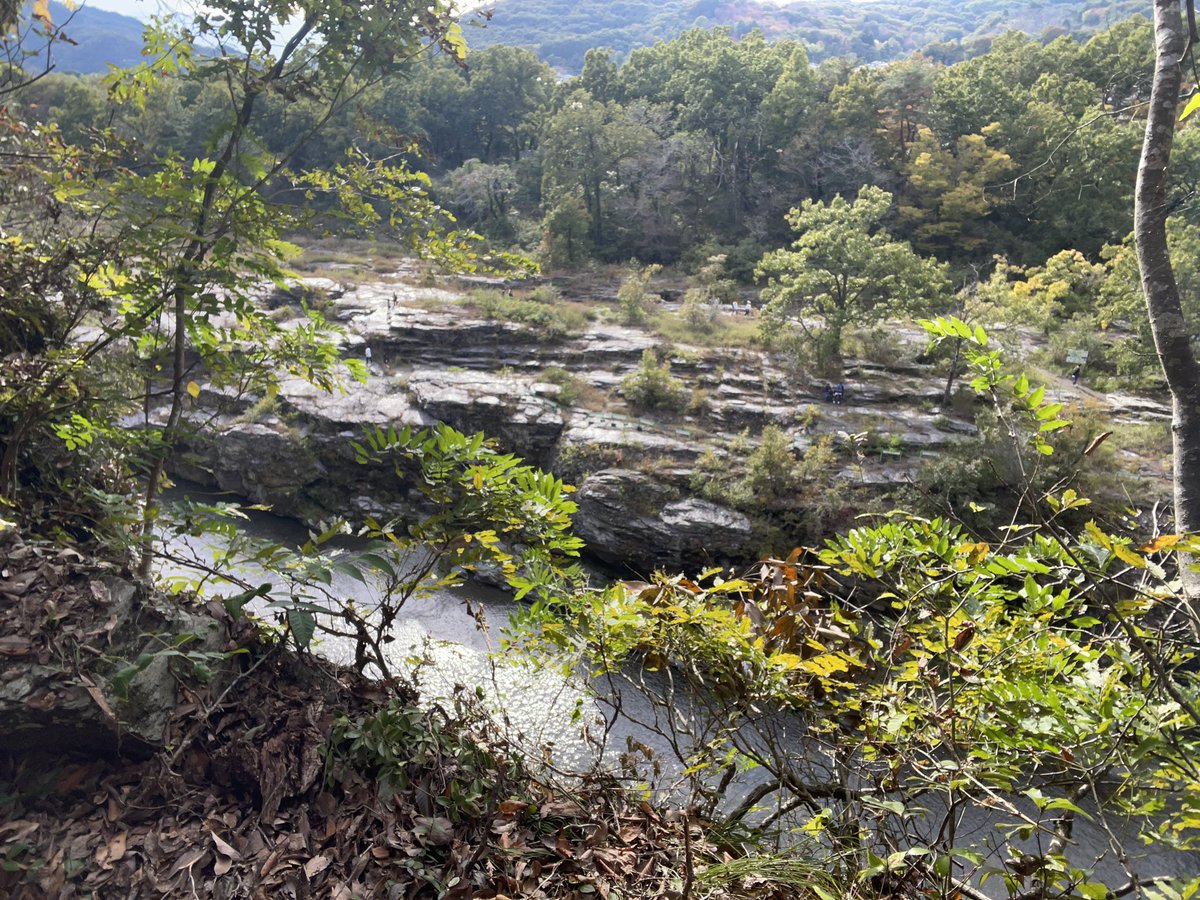 i-shizuka🚴‍♀️ on X