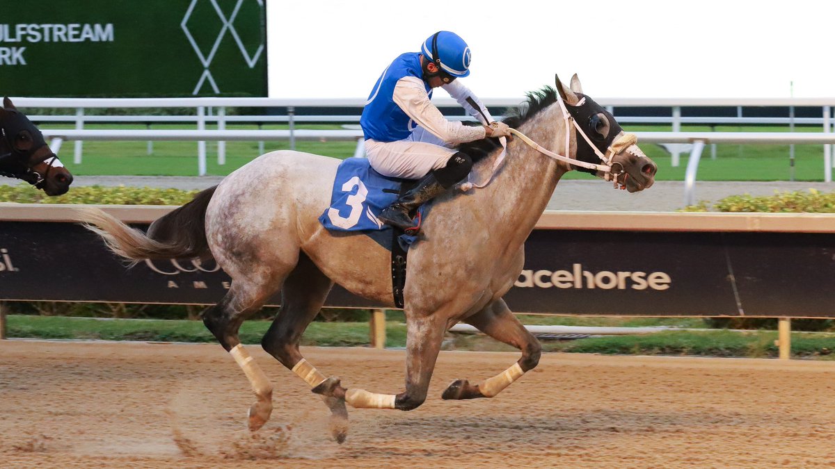 Icelander, with <a href="/CiprianoGil2/">𝑪𝒊𝒑𝒓𝒊𝒂𝒏𝒐 𝑮𝒊𝒍</a>, powers home to win race 9 for trainer Carlos Narvaez and owner Ladycaroly Stable.  #GulfstreamPark #SunshineMeet