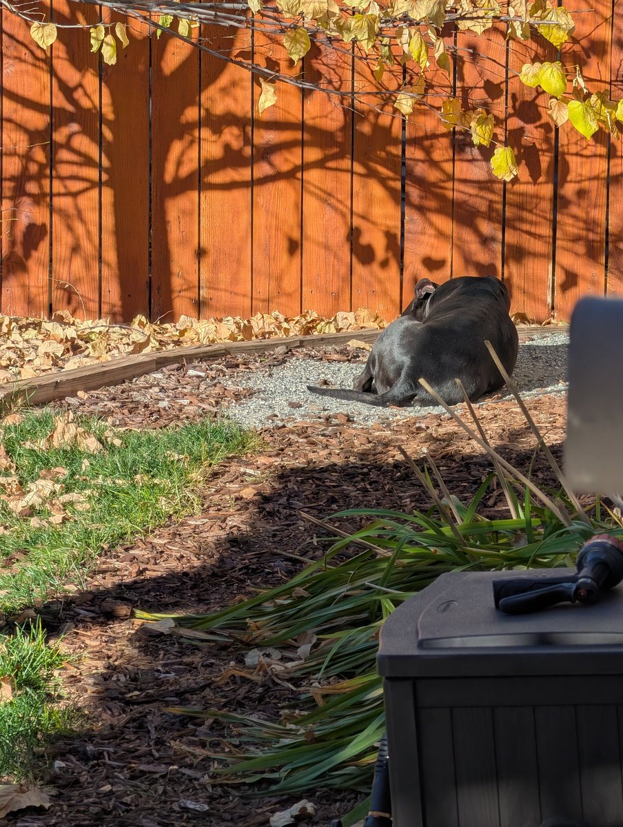 FamiLee.sol •● tweet media