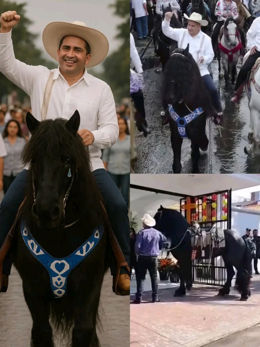 SoloVicky's tweet photo. Como me duele lo que sigue pasando en nuestro país. Hasta cuando?
Dicen que los hombres buenos no mueren, solo cambian de camino. 🌿
Carlos Manzo se fue dejando un legado de fuerza, valentía y amor por su gente. 
Porque los héroes como Carlos no se apagan… solo galopan más alto. https://t.co/DdGkAtXwWl