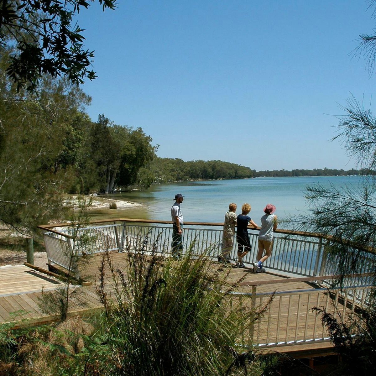 Looking to stretch your legs while you’re in Port Stephens? 🌿👣

We’ve rounded up our Top 5 Bushwalks. From coastal climbs with incredible views to peaceful forest trails right near the sanctuary.

👉 Read the full blog on our website.
bit.ly/4oAqMhL