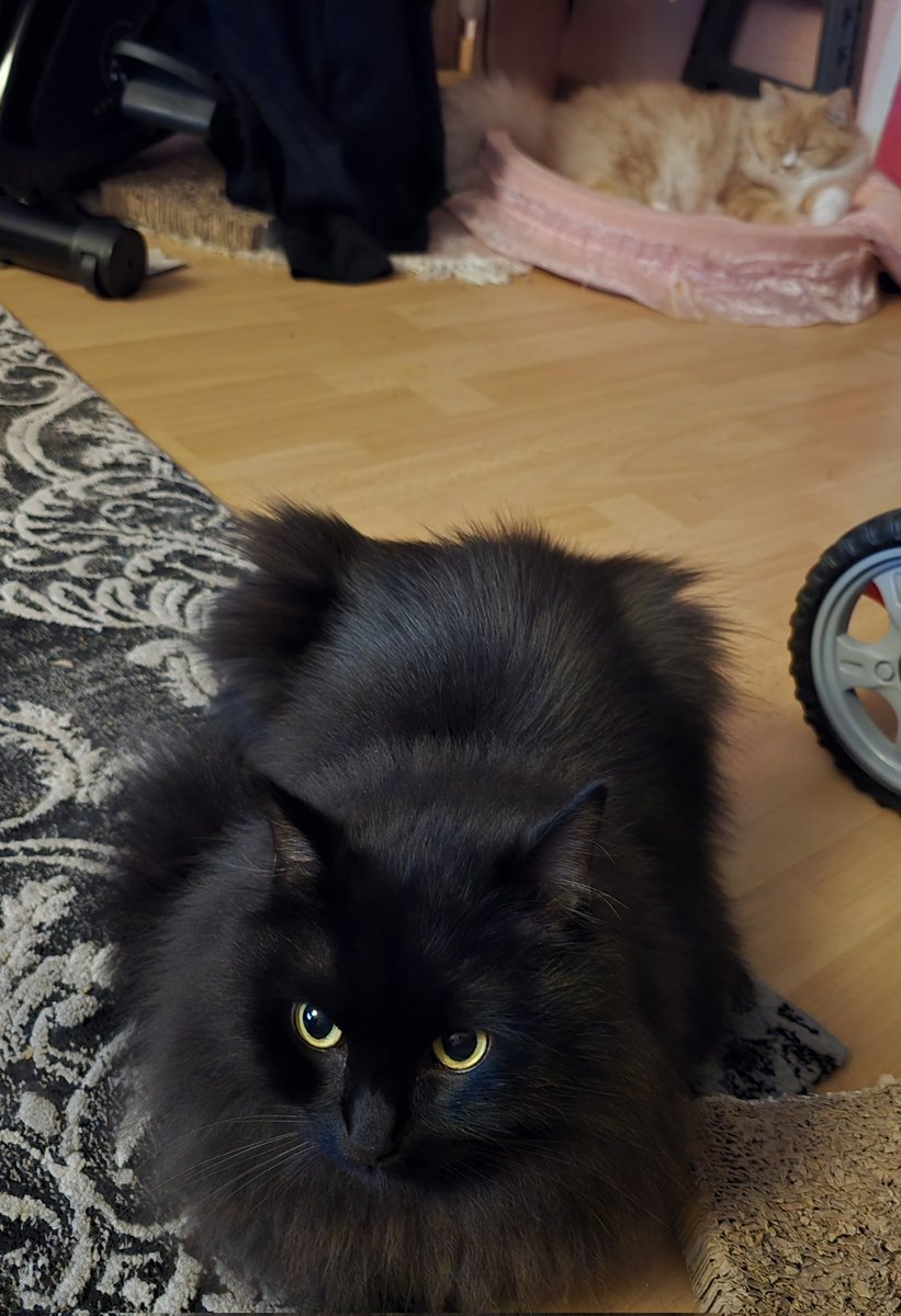 Very beloved boys :)