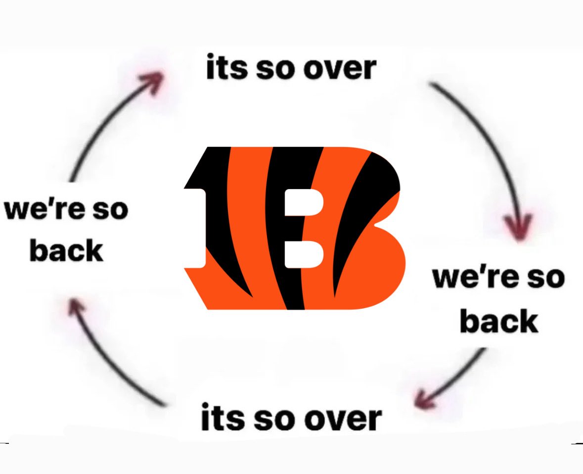 The Cincinnati Bengals Experience: