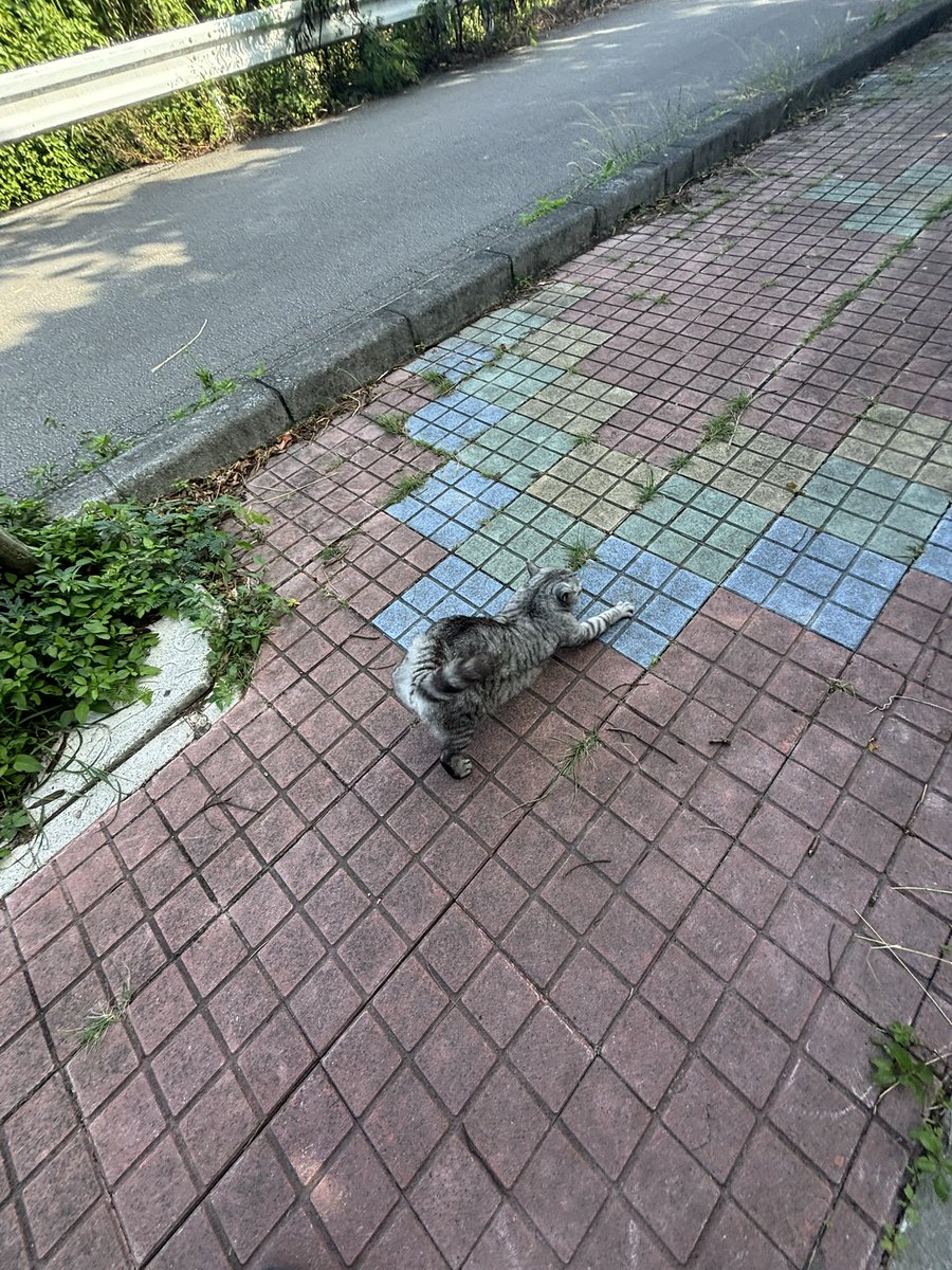 10mページ♡⃜ yoshi on X