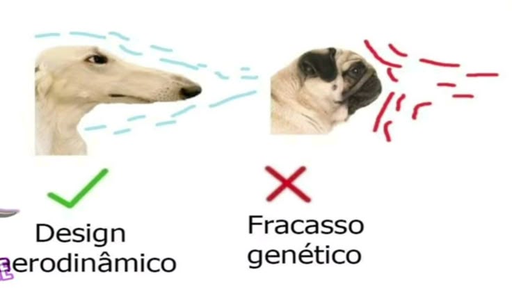 juliaminegirl0's tweet image. 