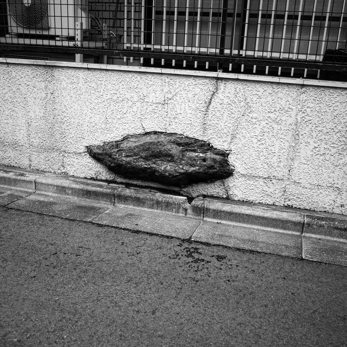 ganriki_ganriki's tweet image. meursault_portfolio2025/11/03

#monochromephotography 
#colorphotography 
#grsnaps 
#meursault_portfolio