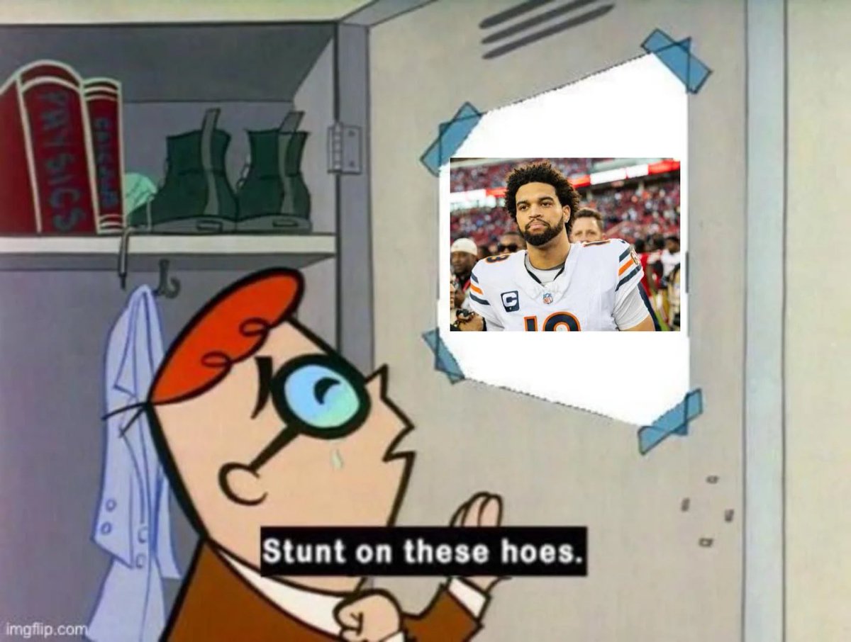 BearsShowYo tweet media