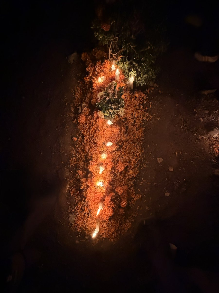 Hoy, en el Día de Muertos, recordamos a quienes la vida se llevó. Pero también a quienes se los arrebataron.

No fueron los dioses, ni el tiempo. Fue la violencia y la indiferencia.

Por ellos, no basta con poner flores. Hay que alzar la voz.
#JusticiaParaCarlosManso