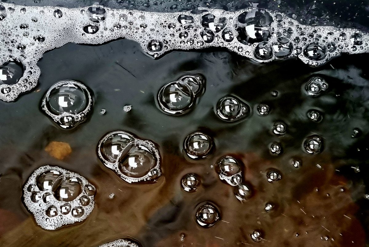 Gartenglück (@die_gritti) on Twitter photo 